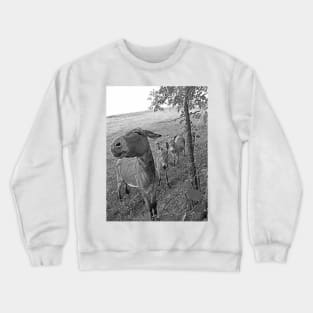 THE PANASONIC FZ 1000  PAR OKAIO CREATION Crewneck Sweatshirt